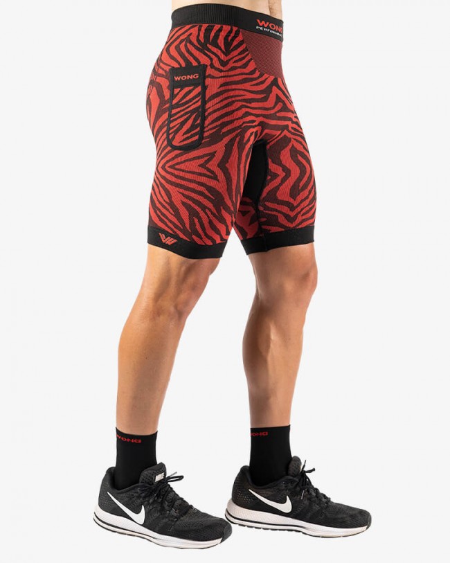 nika-zebra-2-184253376