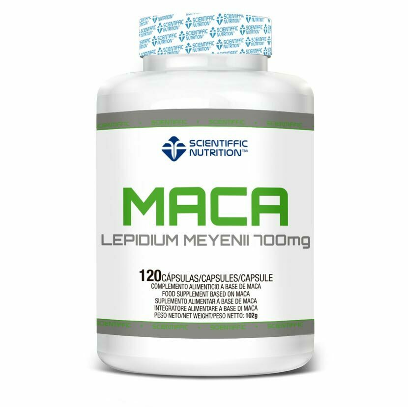 MACA
